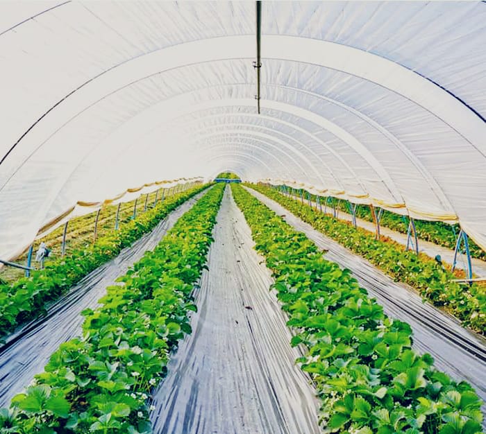 انواع دستگاه نایلون خانگی