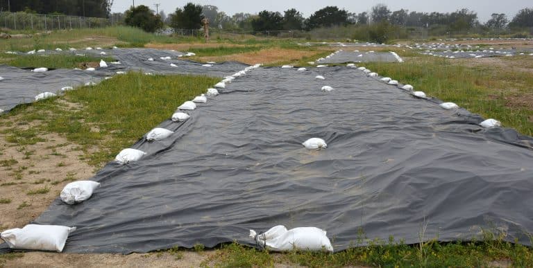 انواع دستگاه نایلون خانگی