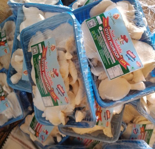 انواع دستگاه نایلون خانگی و32 مدل از آن 21 22