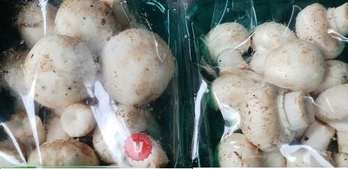 انواع دستگاه نایلون خانگی و32 مدل از آن 22 23