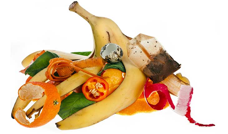 انواع دستگاه بازیافت زباله شهری و خانگی 26 Compost and Recycling