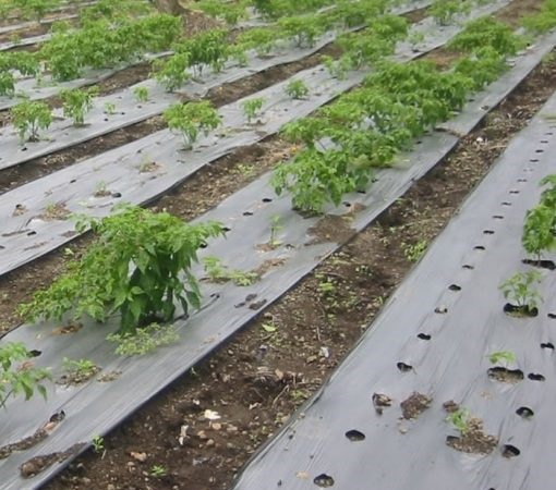 انواع دستگاه نایلون خانگی و32 مدل از آن 48 Irrigation nylon 510x510 1