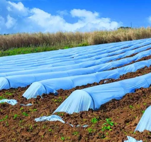 انواع دستگاه نایلون خانگی و32 مدل از آن 52 nylon keshavarzi 510x510 1