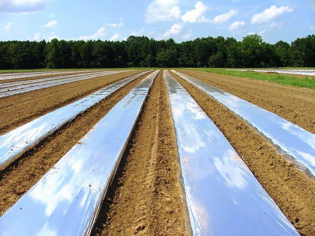 انواع دستگاه نایلون خانگی و32 مدل از آن 131 نایلون صیفی جات 1