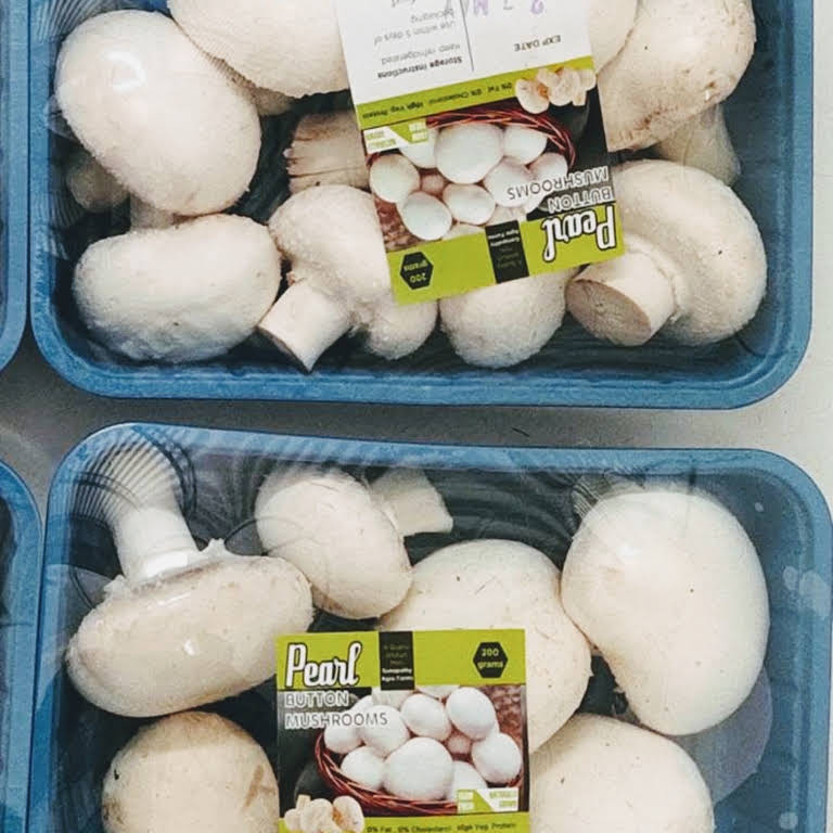 نایلون قارچ 2