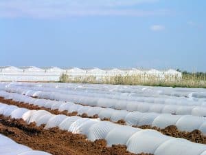 انواع دستگاه نایلون خانگی و32 مدل از آن 53 نایلون3 300x225 1