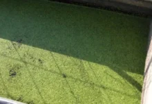 جلوگیری از جلبک زدن تانکر آب