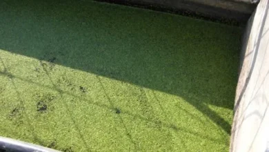 جلوگیری از جلبک زدن تانکر آب