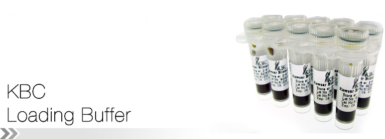 KBC Loading Buffer
