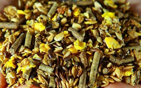 کنسانتره اسب  [قیمت، مشخصات و خرید]{خرید اقساطی}