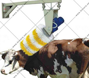 قشو برقی [مشخصات، قیمت و خرید]