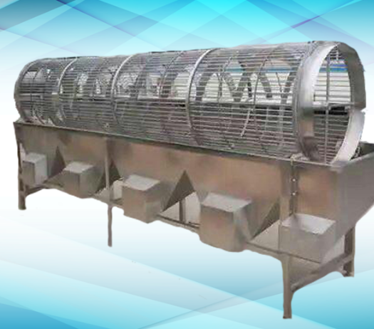 دستگاه سورتینگ زیتون مدل Ansar2200