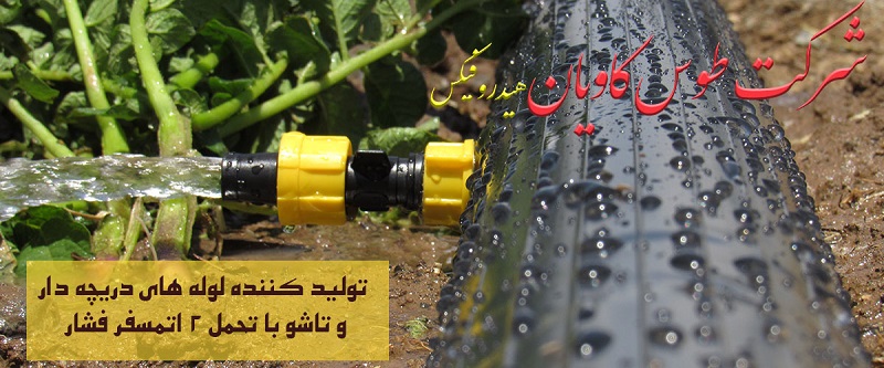 توس (طوس) کاویان