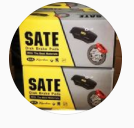 آرتا لنت البرز
