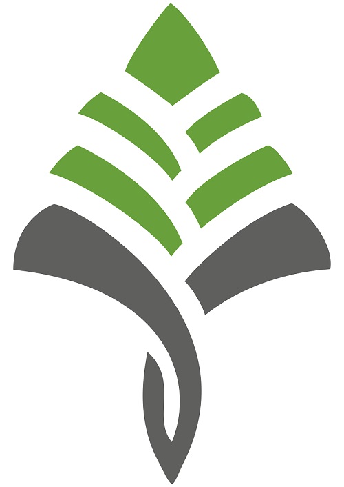دانش پردازش کاج پارس