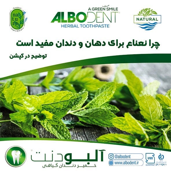 ارمغان سلامت الوند فراز