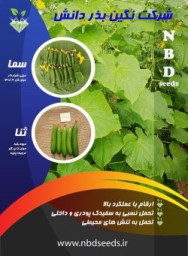 خیار پارتنوکارپ گلخانه ای