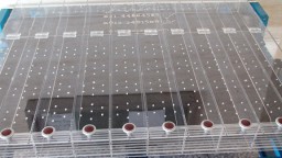 تردمیل موش