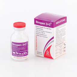 استروپن 3+3