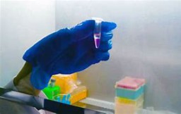 بافر استخراج RNA