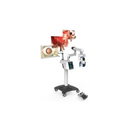 3D Video Microscope